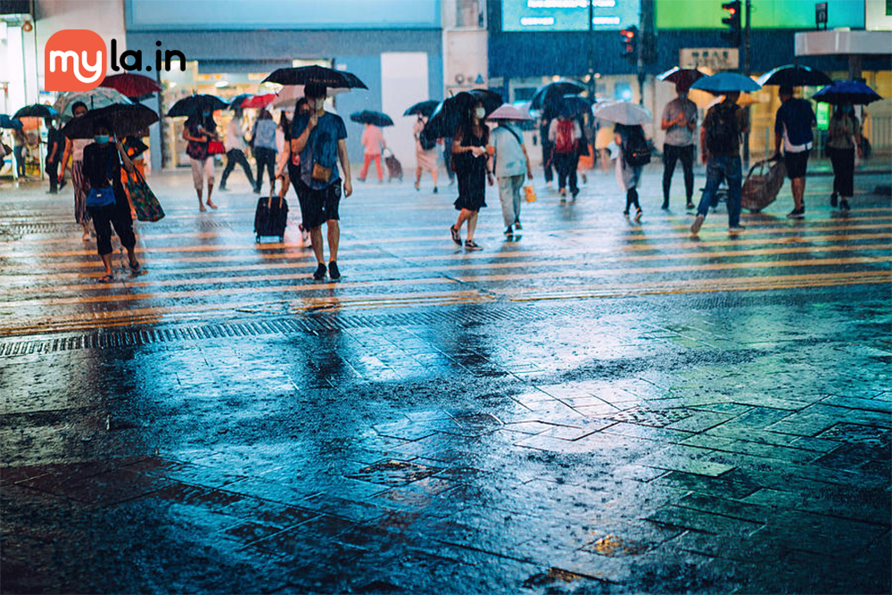 Essential Tips on How to Stay Safe During the Rainy Season