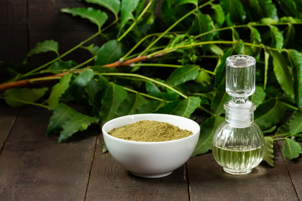 Neem Oil: Natural Indian Remedies for Mosquito Treatment at Home