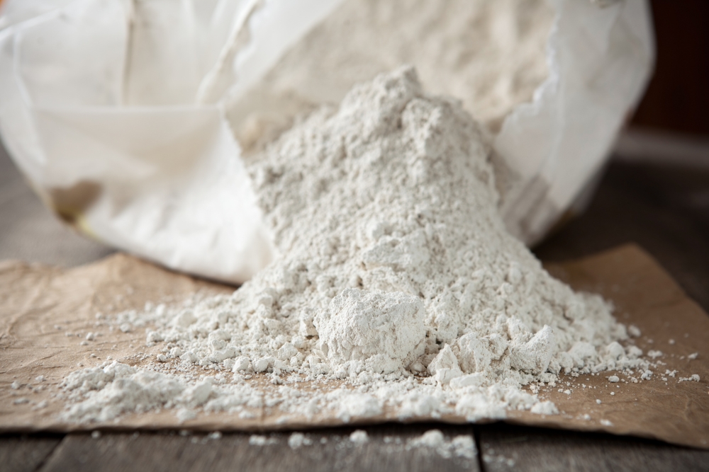 The Power of Diatomaceous Earth: A Safe and Natural Pest Control Solution 